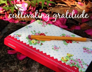 gratitude journal