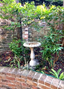 birdbath