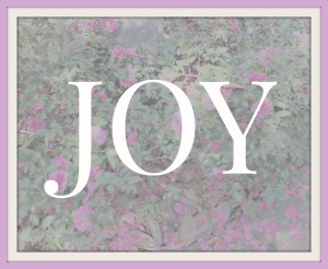 joy