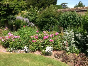 abbeygarden