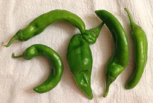 9.15peppers