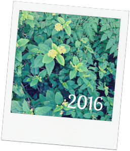 2016lantana