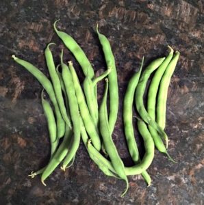 beans